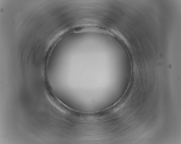 X0000071850533200607211854