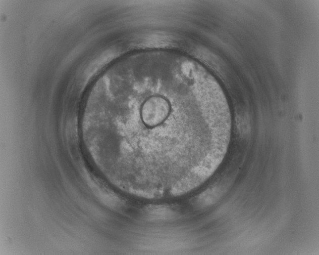 X0000071850534200607211854