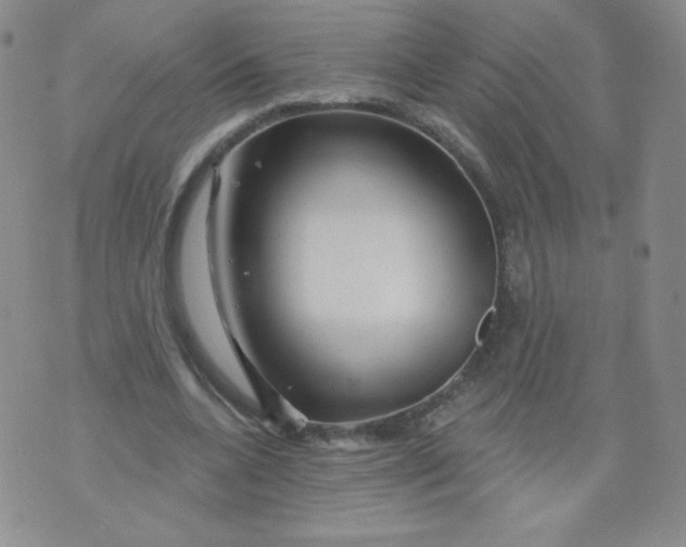 X0000071850536200607211854