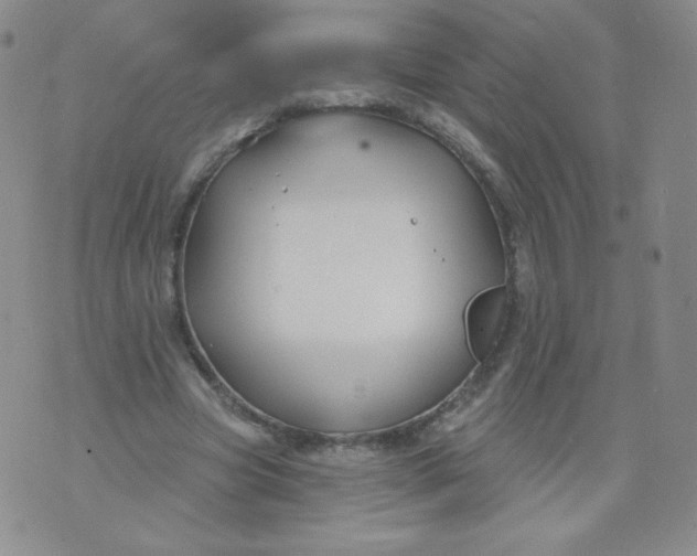 X0000071850537200607211855