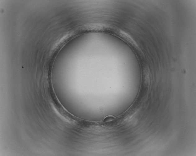 X0000071850538200607211855