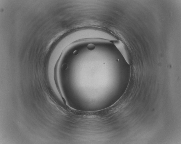 X0000071850539200607211855