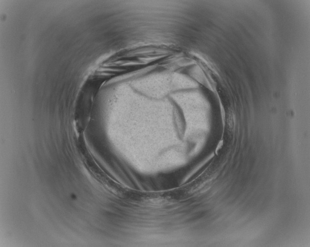 X0000071850540200607211855