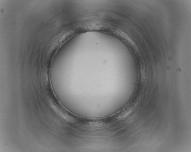 X0000071850541200607211855