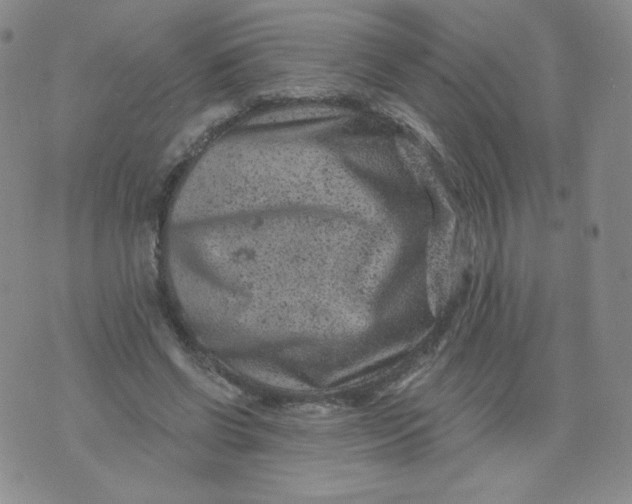 X0000071850542200607211855