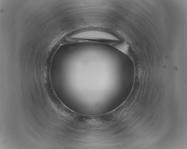 X0000071850544200607211855