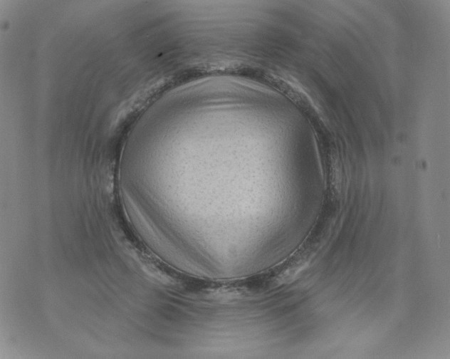 X0000071850545200607211855