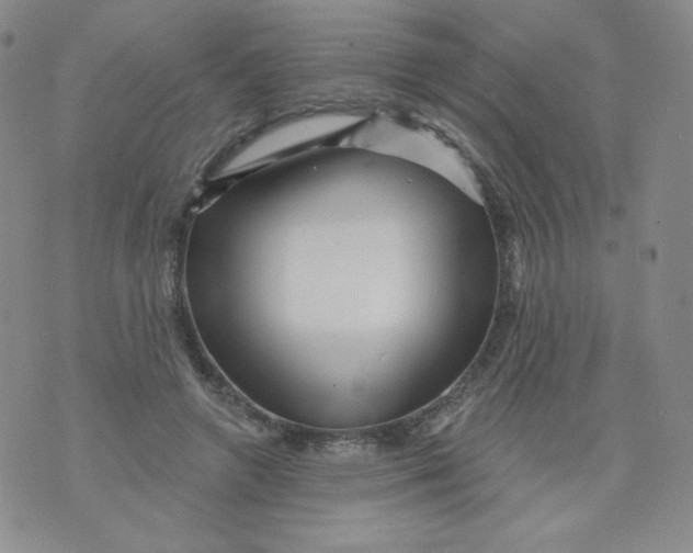 X0000071850546200607211855