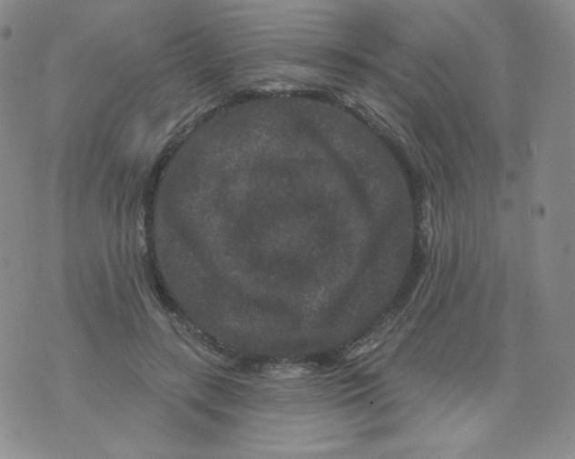 X0000071850547200607211855