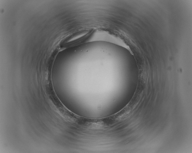 X0000071850548200607211855