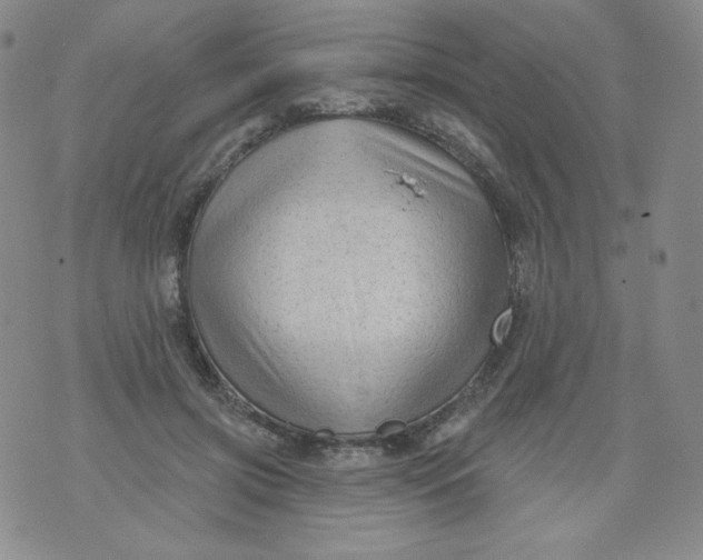 X0000071850549200607211855