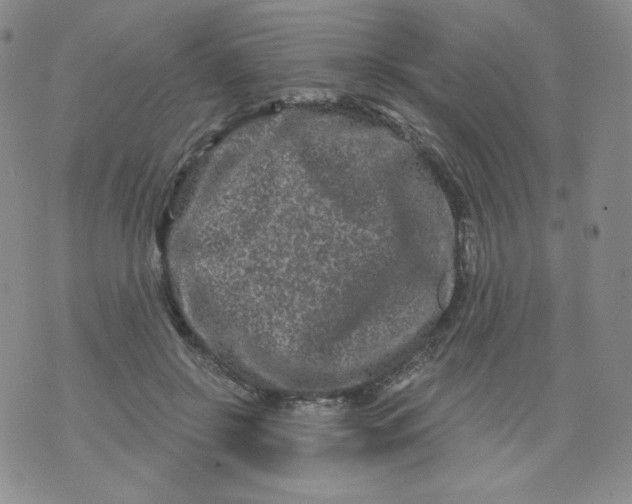 X0000071850550200607211855