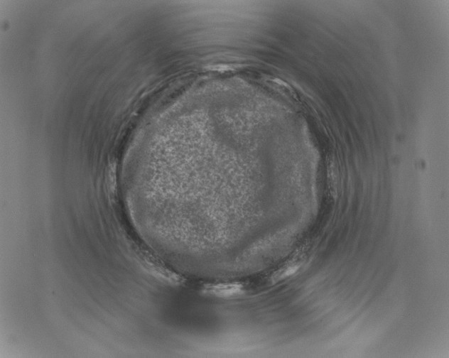 X0000071850554200607211855