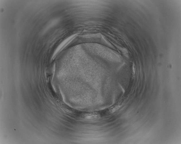 X0000071850555200607211855