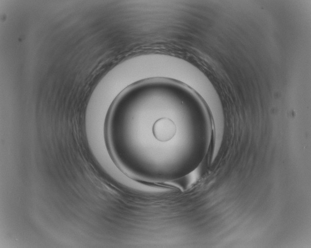 X0000071850558200607211855