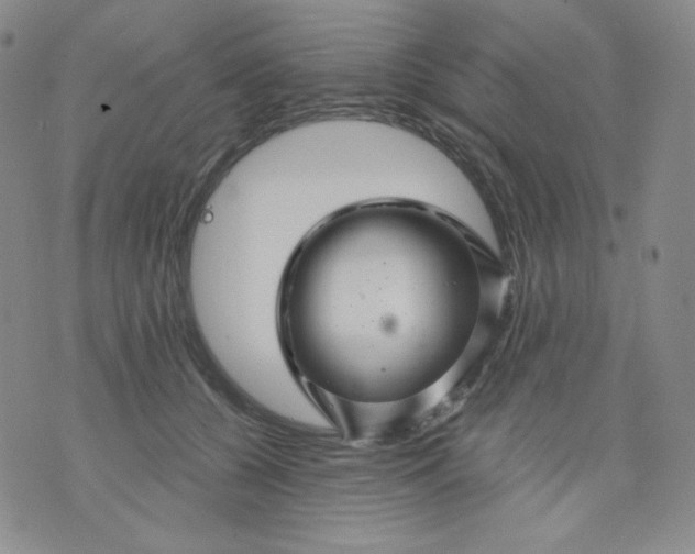 X0000071850560200607211855