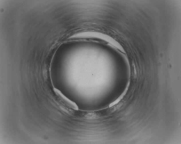 X0000071850562200607211855