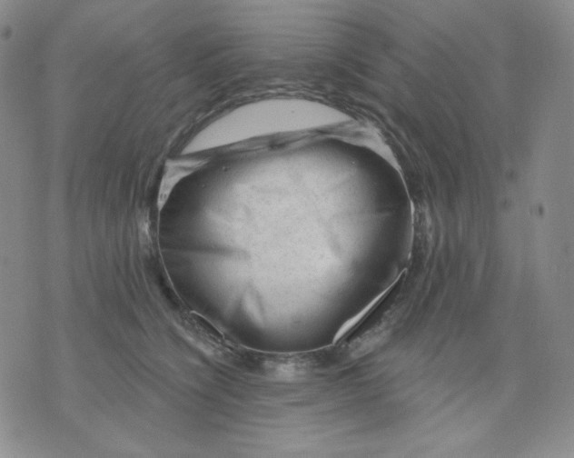 X0000071850564200607211855