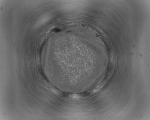 X0000071850565200607211855