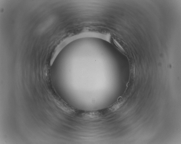 X0000071850567200607211855