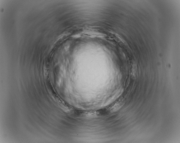 X0000071850569200607211855