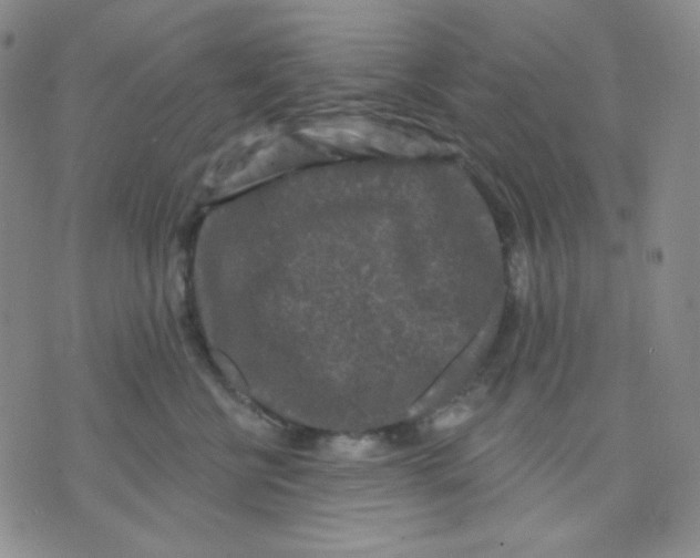 X0000071850570200607211855