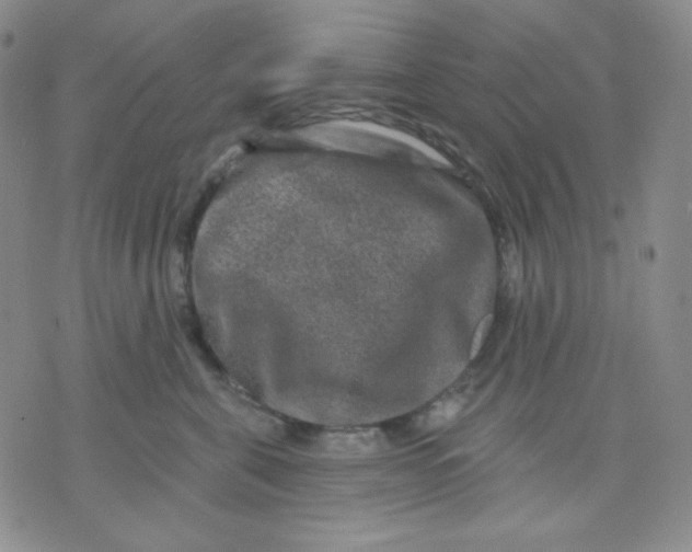 X0000071850571200607211855