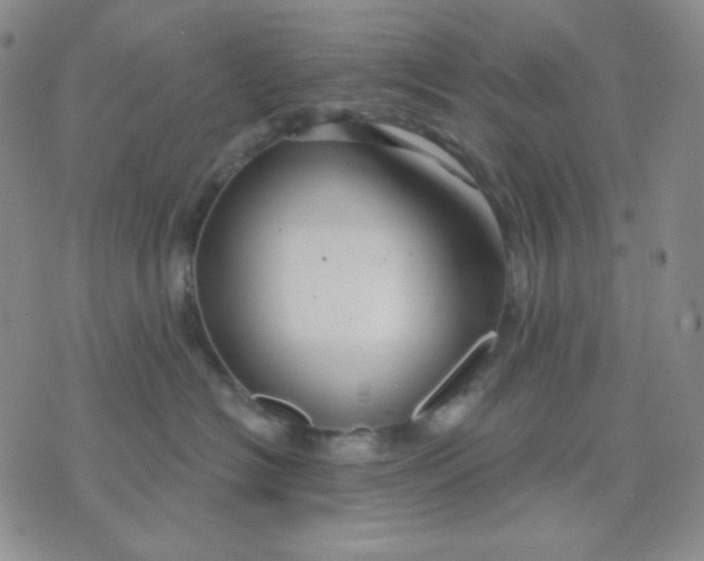 X0000071850574200607211855