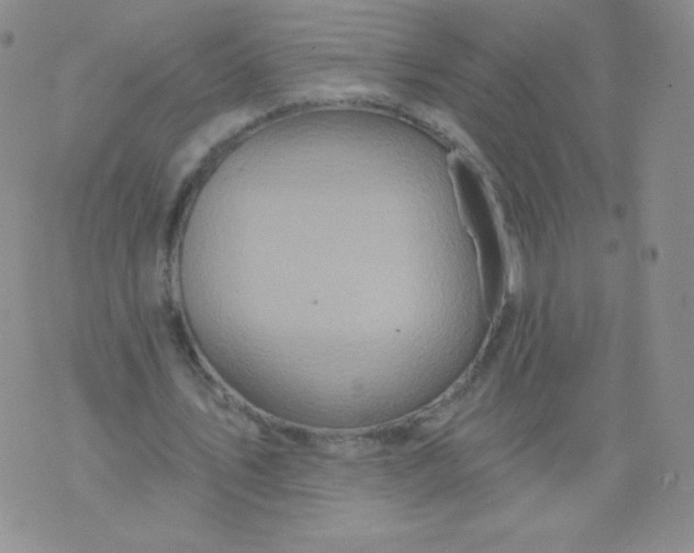 X0000071850579200607211854