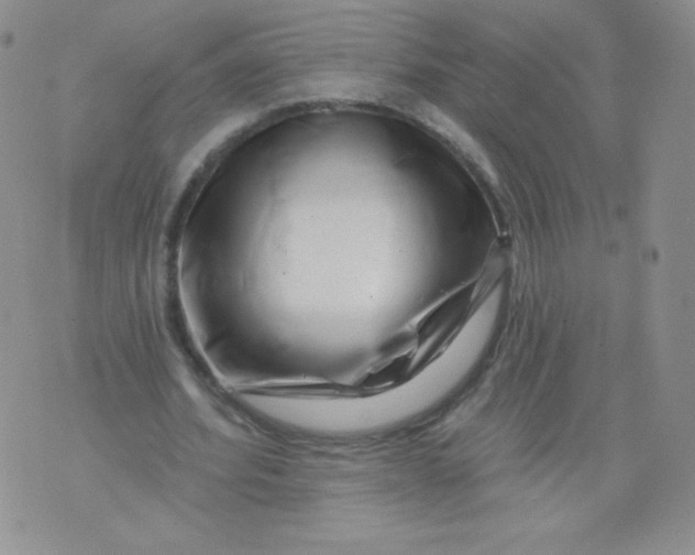 X0000071850580200607211854