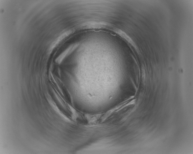 X0000071850581200607211854