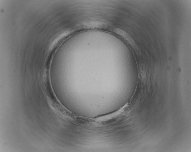 X0000071850583200607211854