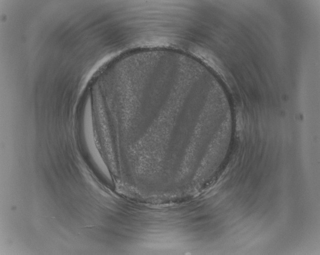 X0000071850584200607211854