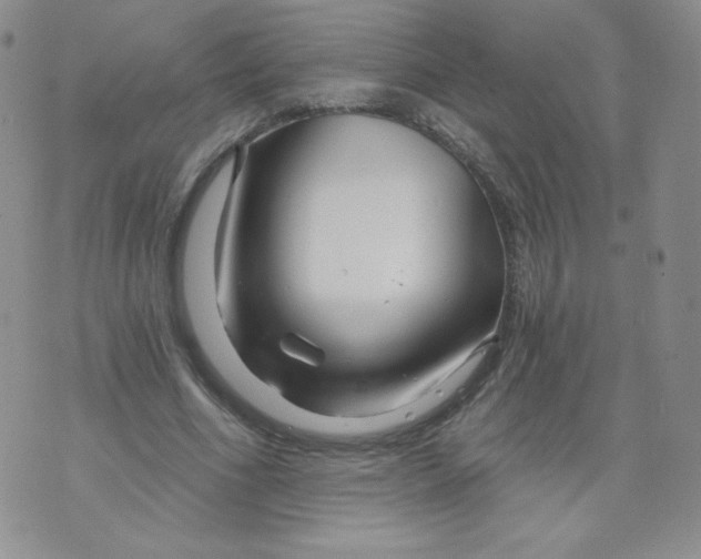 X0000071850586200607211854