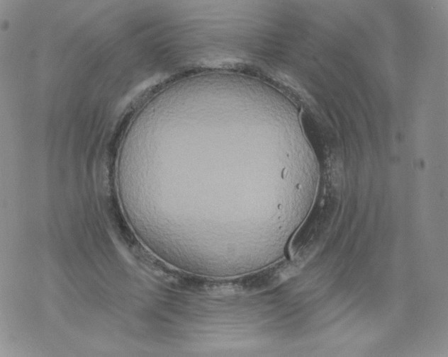 X0000071850587200607211854