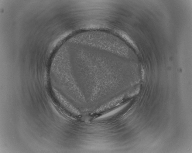 X0000071850588200607211854