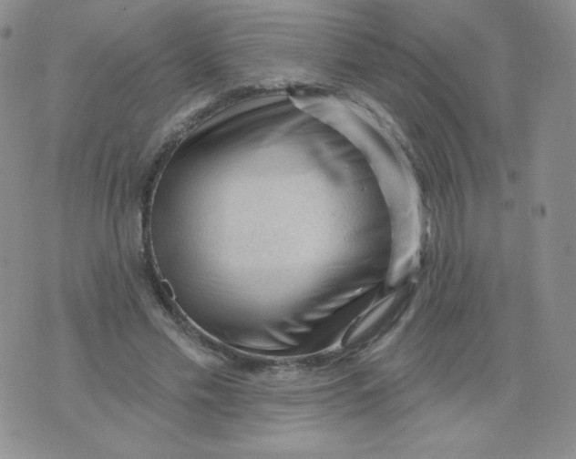 X0000071850589200607211854