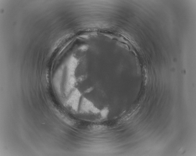 X0000071850590200607211854