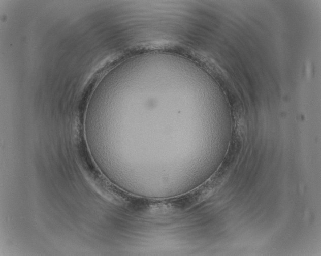 X0000071850591200607211854