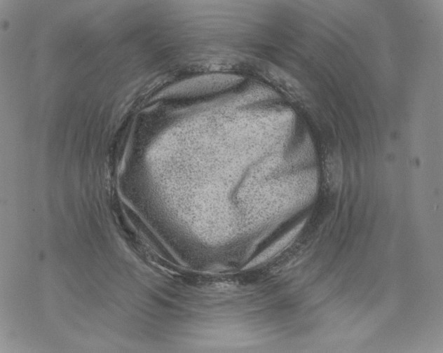 X0000071850594200607211854