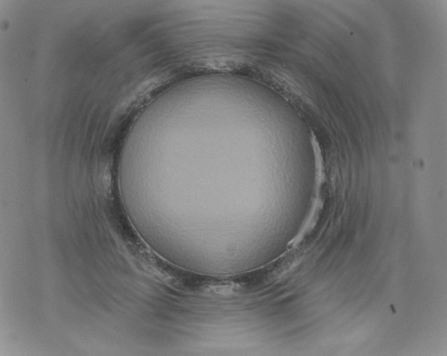 X0000071850595200607211854