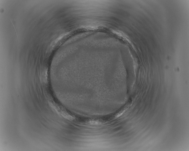 X0000071850596200607211854