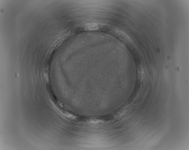 X0000071850598200607211854