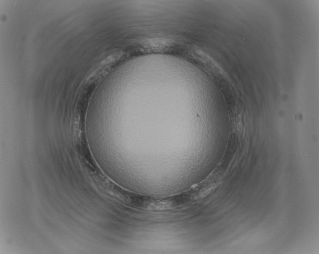 X0000071850599200607211854