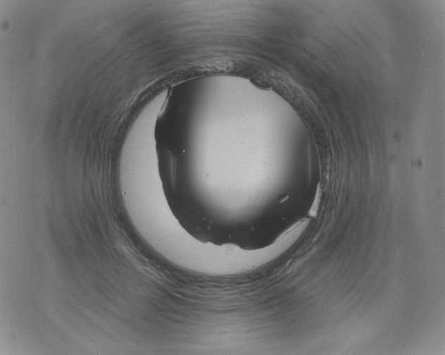 X0000071850600200607211854