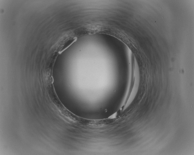 X0000071850601200607211854