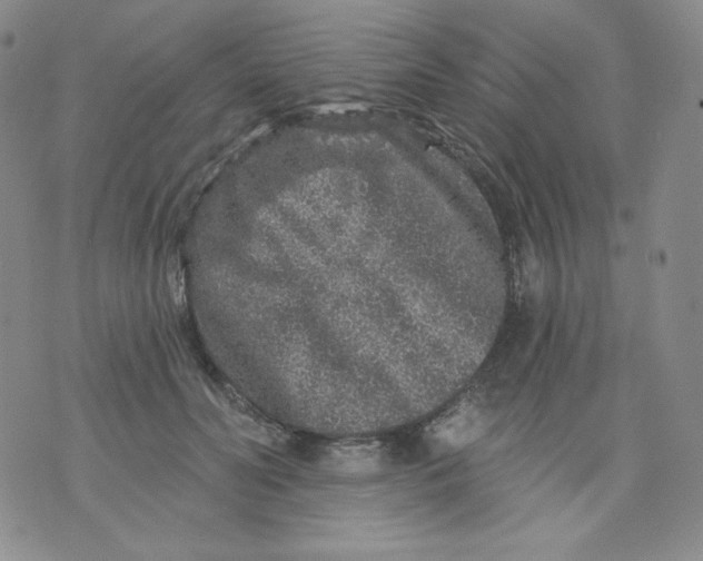 X0000071850606200607211854