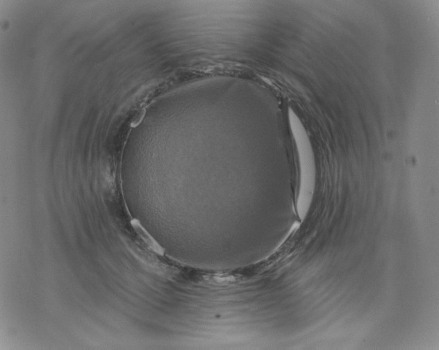 X0000071850607200607211854