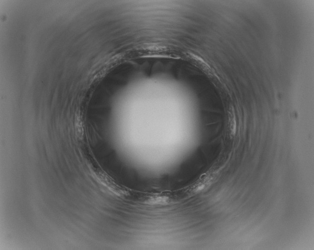 X0000071850609200607211854