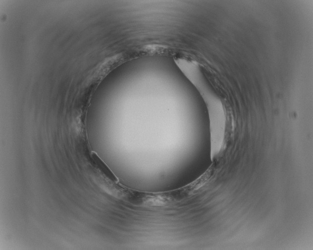 X0000071850611200607211854